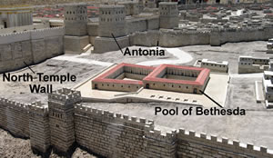 Locations around the Pool of Bethesda labeled on a photo of a model of Jerusalem