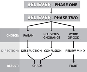 Diagram from Galyn's book, "The Word: Apparatus for Salvation, Renewal & Maturity"