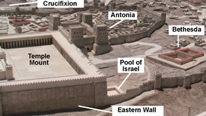 Fort Antonia, north wall of temple mount