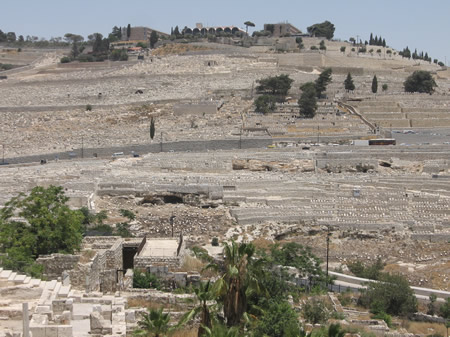 A view of the graves on the west side of the Mount of Olives as seen frm the east side of the Ophel south of the Temple Mount. 