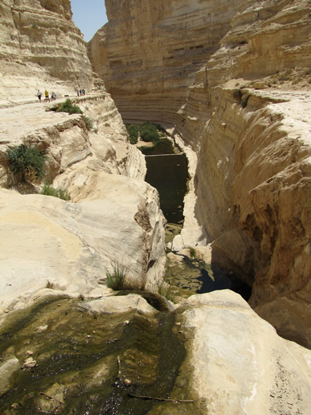 A wadi in the Negev