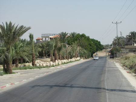 Entering Jericho, the City of Palms, an oasis in the wilderness. 