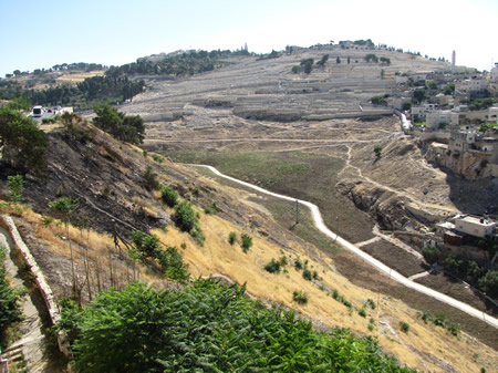 A view of the Kidron Valley as seen from above the Jebusite Wall (Millo) and beside David's Palace with the Mount of Olives in the background. 
