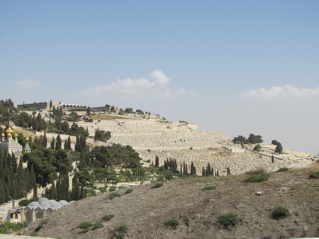 A view of the Mount of Olives. 