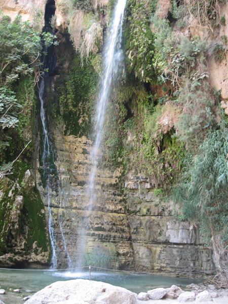 Water falls at En Gedi