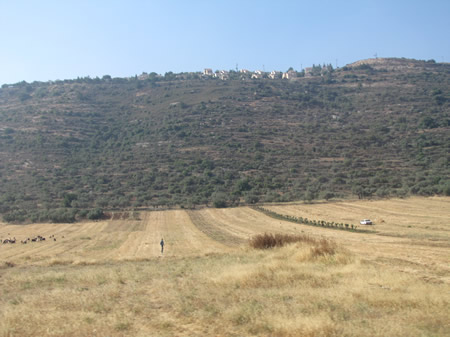 A field outside of Samaria in June
