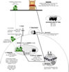 Diagram detailing the underworld, Hell, Hades, Gehenna, Tartarus, Abyss