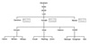 Family Tree of Levites, Arron, Moses and Korah