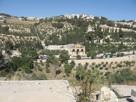 Mount of Olives as seen from Jerusalem looking over the Kidron Valley