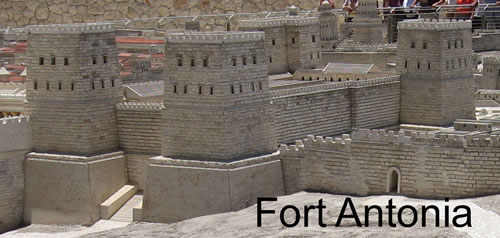 Fort Antonia
