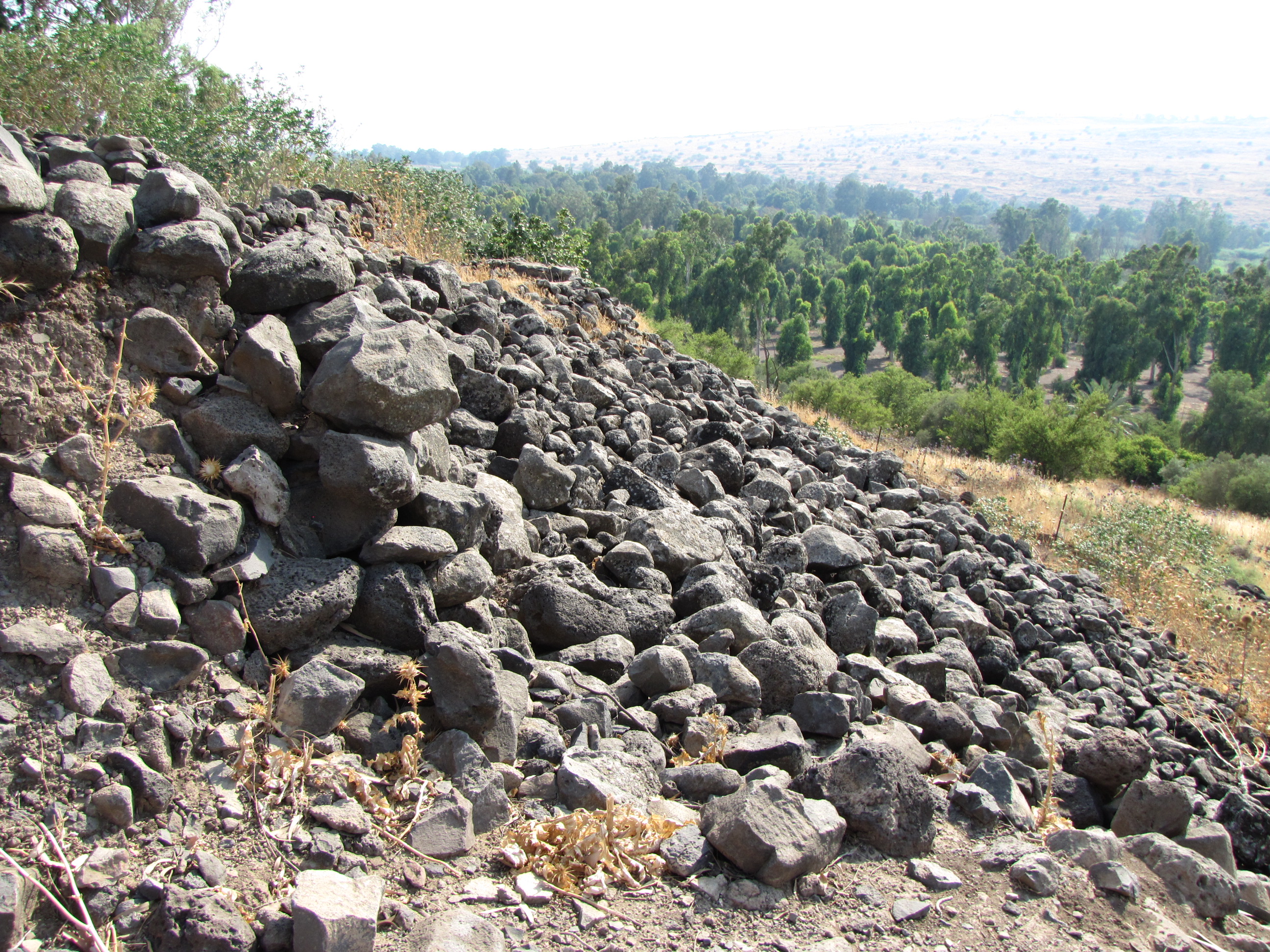 View looking toward the Sea of Galilee from Bethsaida, or OT Geshur