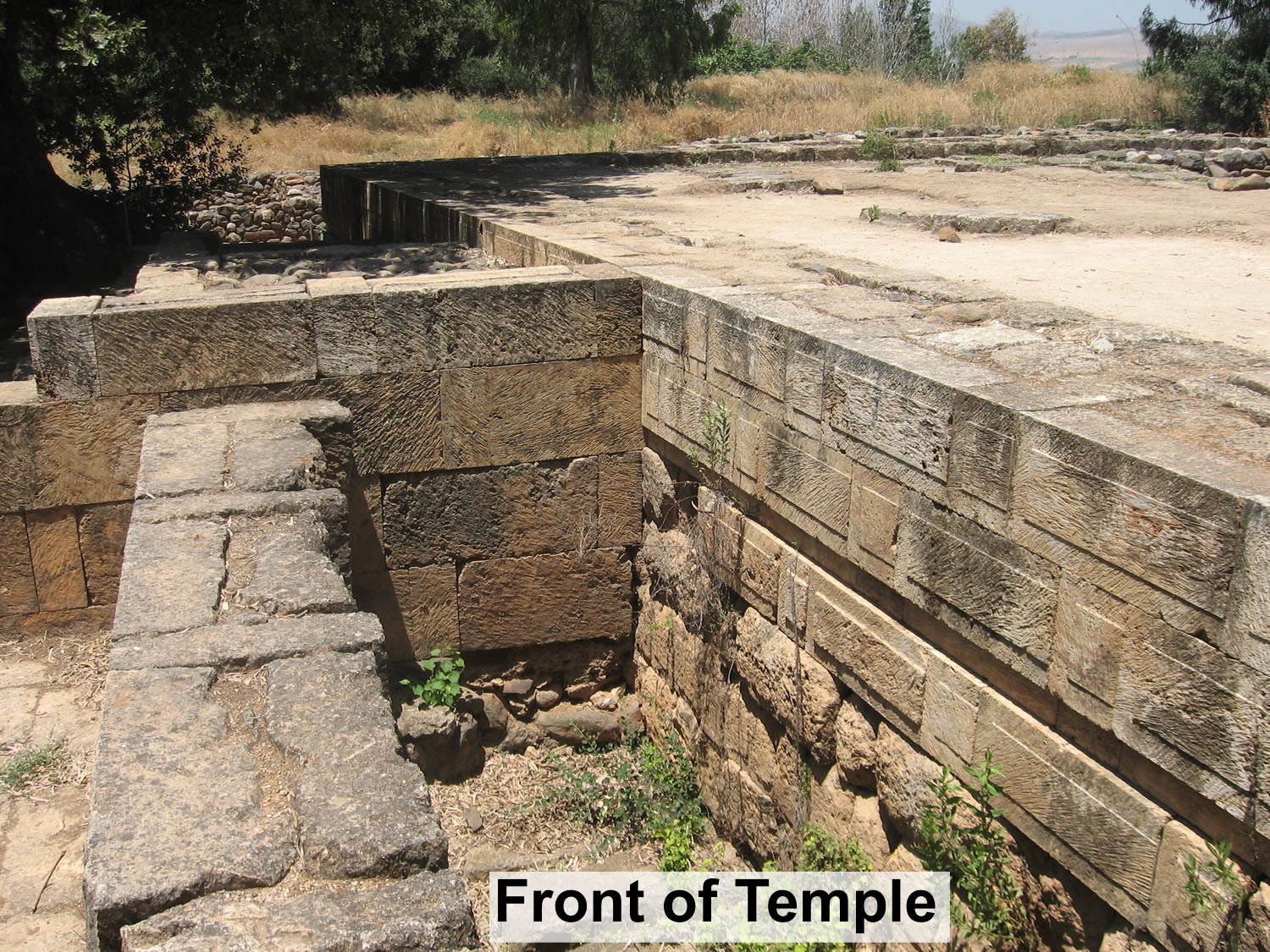 Front of Golden Calf Temple platform in Dan Israel