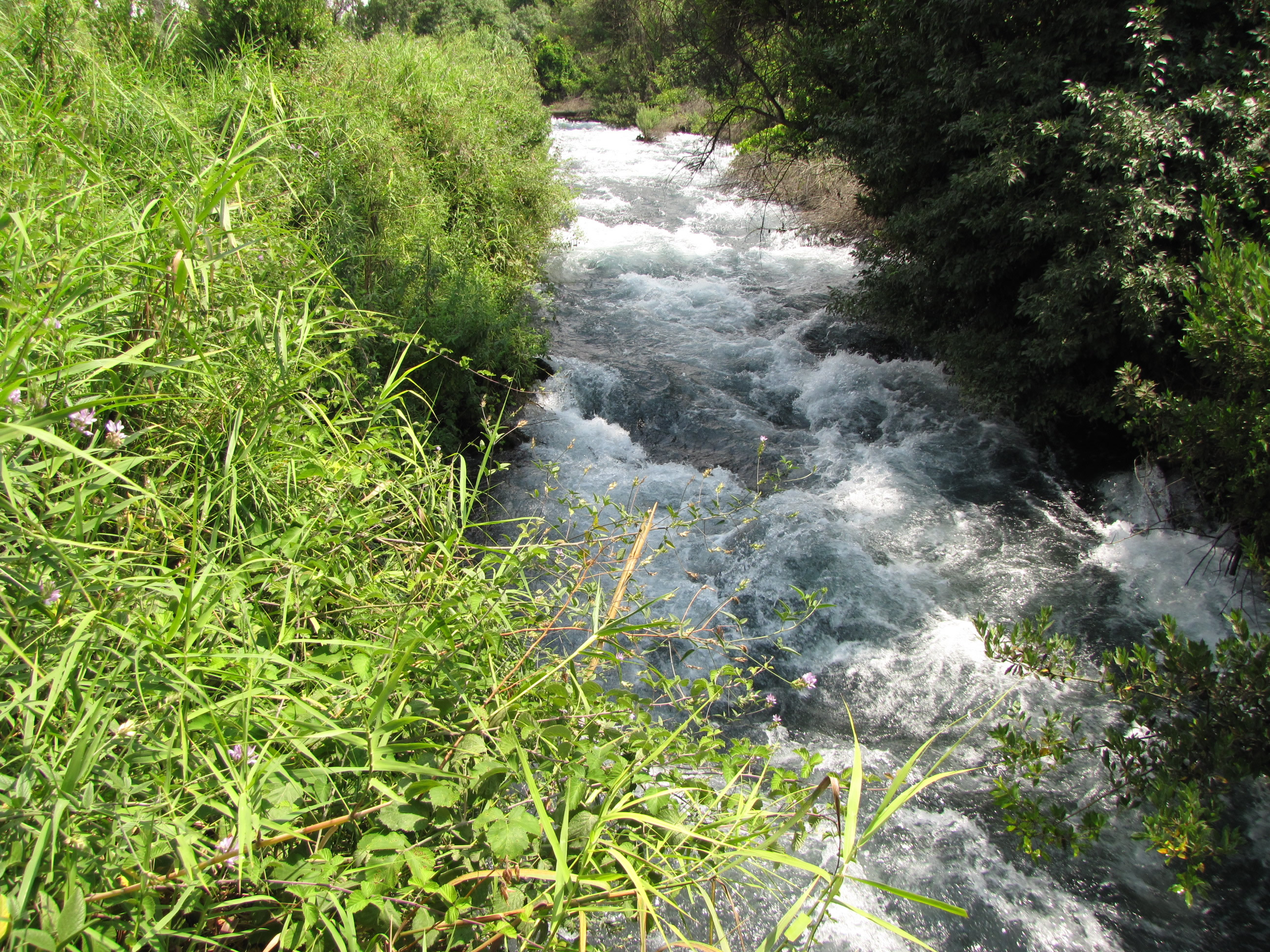 Water Springs at Dan