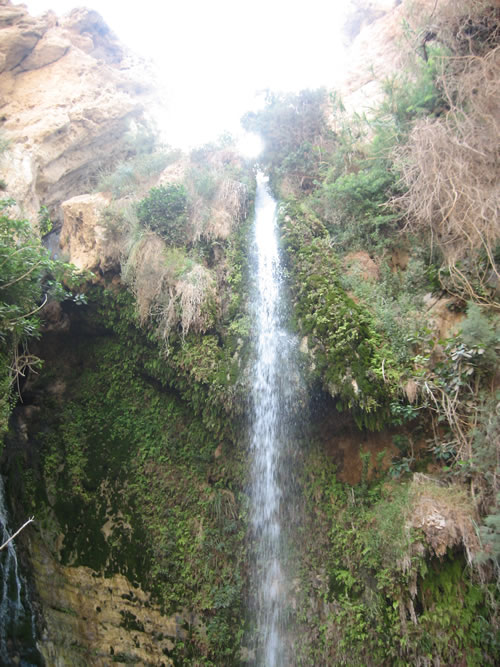 Water Falls at En Gedi