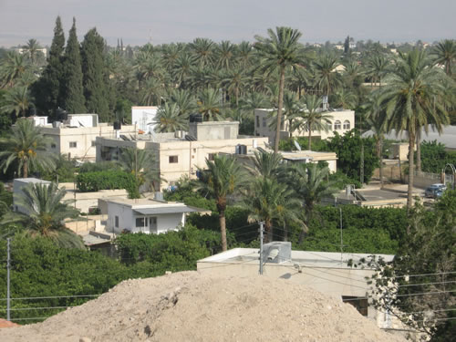 Israel - Jericho, City of Palms