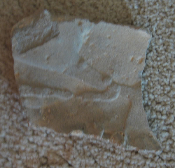 An image of a horse (front legs visible) carved into stone and used as decorative overlay.  Picked up in Avdat.