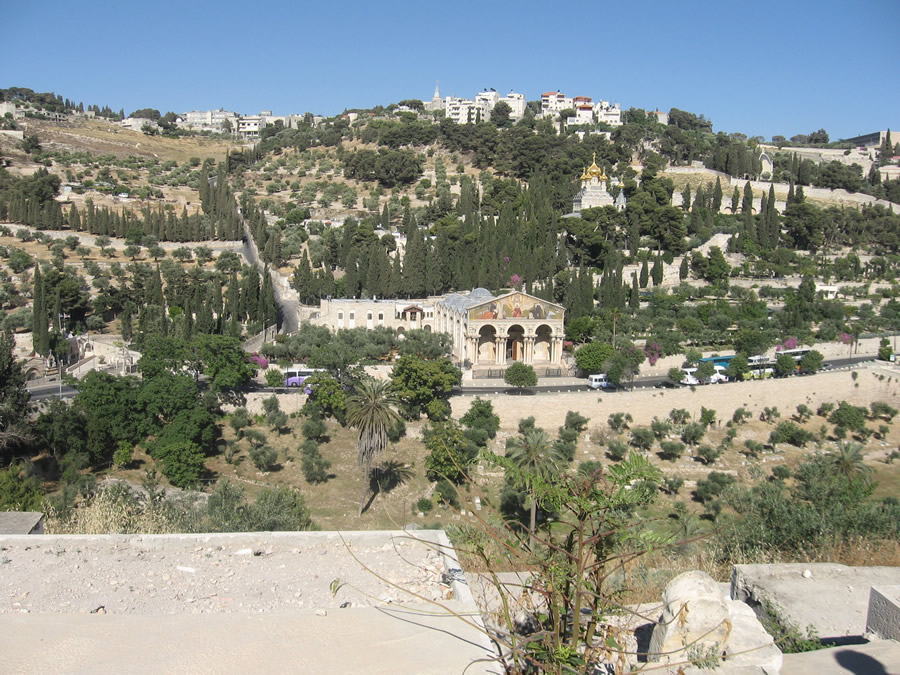 Garden Of Gethsemane