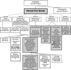 Diagram detailing Herod the Great's family tree and the Herodian kings who followed him and are mentioned in the New Testament. 