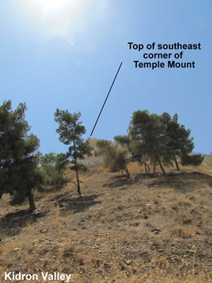 A view of the top of the southeast corner of the Temple Mount as seen from the Kidron Valley. 