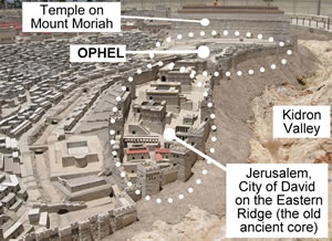 The City of David, the Ophel, the Kidron Valley and the Temple Mount are labeled on this photo of a model of the New Testament city of Jerusalem. 