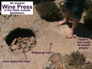 This is a small, privately owned winepress in a field 