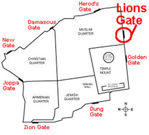 map details of the location of Jerusalem's gates, highlight lions gate