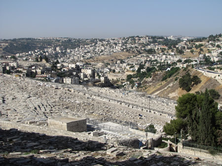 A view of the City of David from the Mount of Olives. 