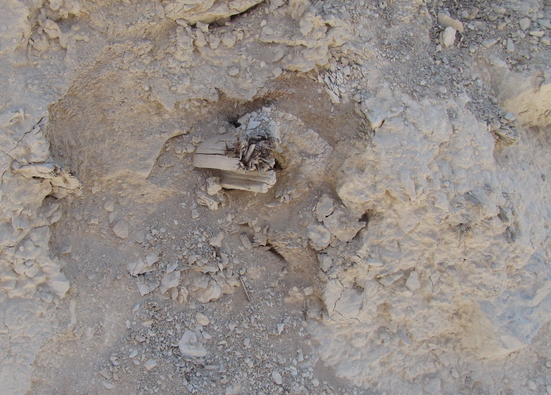 This is the end of a wooden beam placed in the Roman's siege ramp at Masada by the Roman soldiers who used these beams to help secure the stone and rubble they used to build the ramp