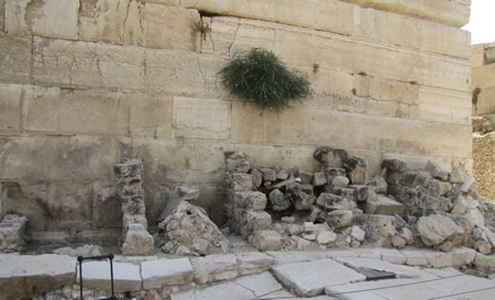 RobRemains of shops from New Testament times along the Western Wall of the Temple Mount under Robinson's Arch.