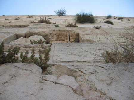 Looking up the Western Wall at some of the original Herodian ashlar stones that have held their place since around 19 BC. 