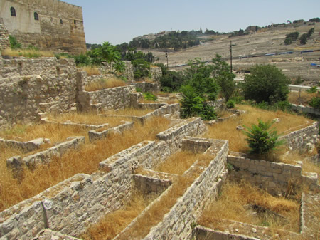 The Ophel, which is the area between the north wall of the old City of David and the south wall of the Temple Mound. The word "ophel" means "rising" or "risen area" and refers to the land that rises out of the City of David up to Mount Moriah. 