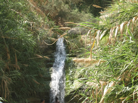 A water fall at En Gedi.