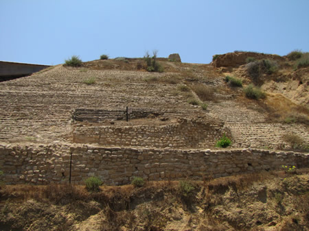 The location of the shrine where the silver calf god was found on the walls (ramparts, glacis) of the Canaanite/Philistine city of Askelon. The post in about the middle of the photo marks the spot where the calf god image was found.