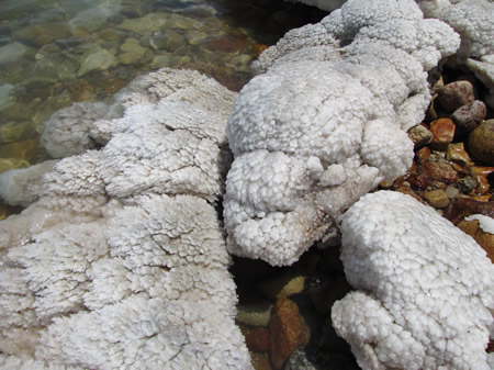 Salt build-up on rocks on the shore of the Dead Sea