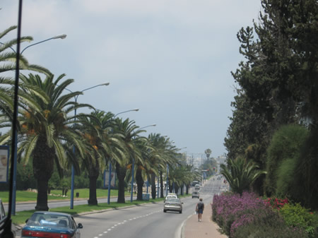 A road entering Ashkelon 