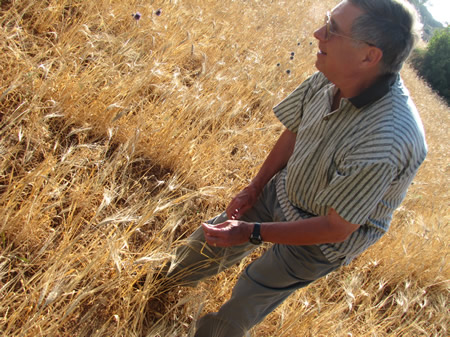 Dr. Carl Rasmussen in a field in the Hill Country of Benjamin in June