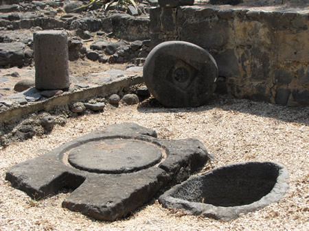 Olive oil press