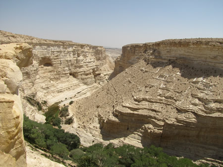 A view of a wadi in the Negev in Israel 