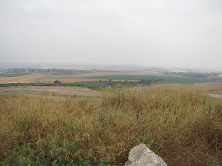 Coastal Plain