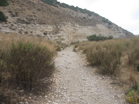 The wadi (dry river bed) in the Valley of Elah where David faced the Philistines and Goliath