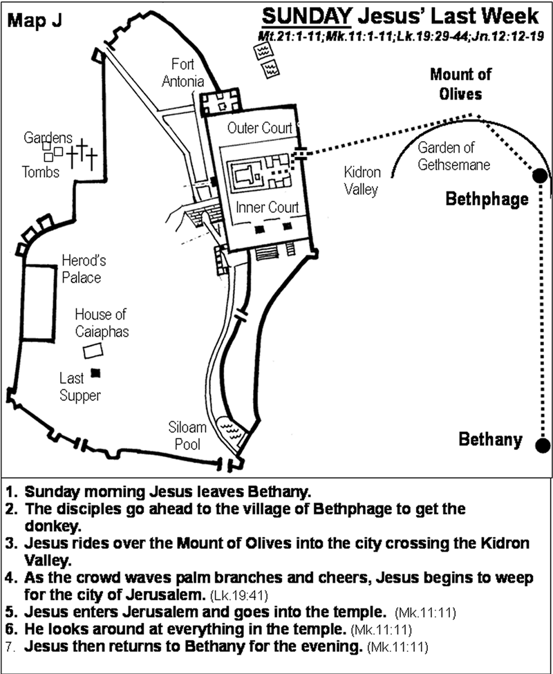 Jesus Last Week - Sunday - Luke 19; Mark 11