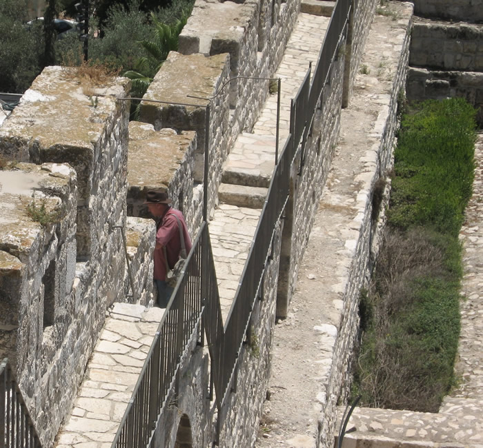 Galyn on the walls of Jerusalem, Nehemiah 12