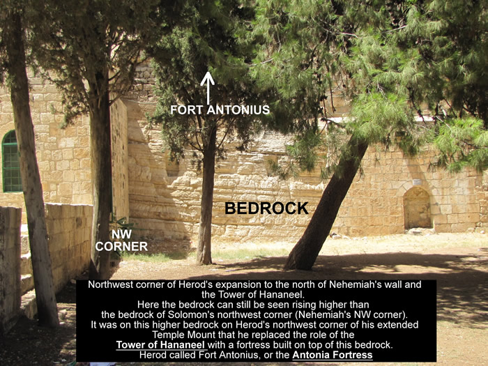 Tower of Hananeel and Bedrock rising to Fort Antonia