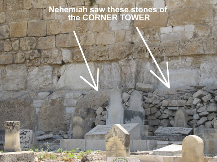 Old Testament stones of northeast corner of Solomon's Temple Mount at base of Nehemiah's Corner Tower beside East Gate