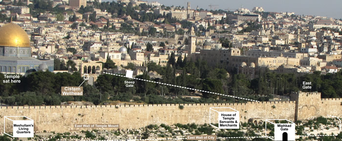 Sheep Gate, Tadi Gate, Temple Mount, Nehemiah's Wall, north