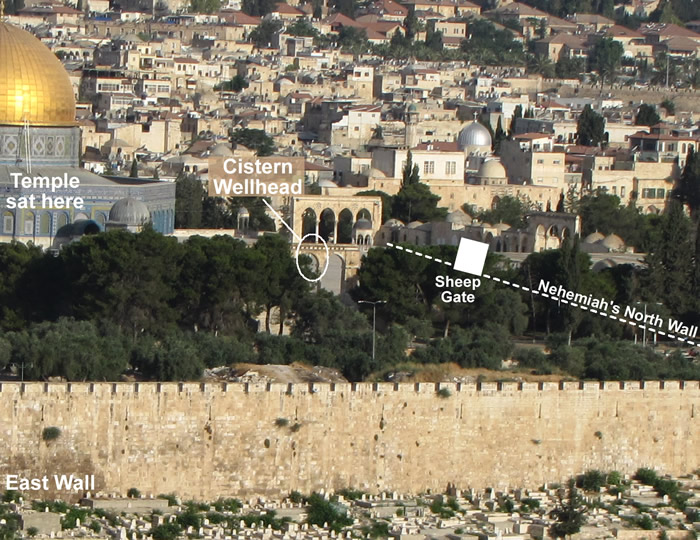 Sheep Gate, Tadi Gate, Temple Mount Location Cistern,  Nehemiah's north wall