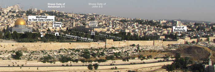 Sheep Gate, Tadi Gate, Temple Mount, Nehemiah's North Wall