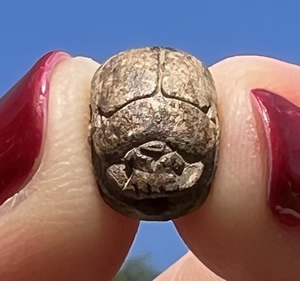 1570-1075 Egyptian Scarab