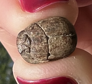 1570-1075 Egyptian Scarab top side showing beetle