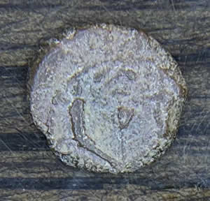 104-103 BC John Hyrcanus II coin minted in Jerusalem, OBV - Surrounded by wreat with Greek "A" inscription "Yehohanan the High Priest and community of the Jews"; Reverse: Two cornucopias with pomegranate rising in middle and border of dots